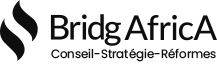 BridgAfrica logo